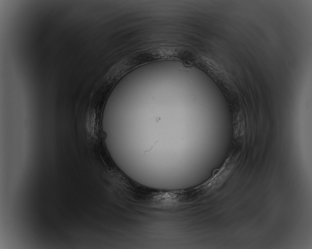 X0000100310140200806190950