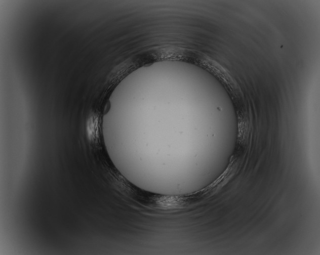 X0000100310142200806190950