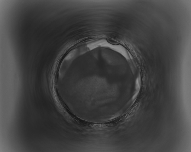 X0000100310145200806190949