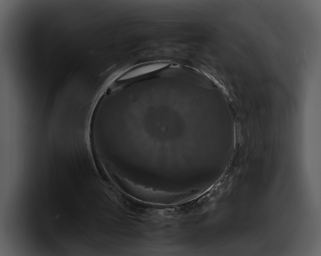 X0000100310147200806190949