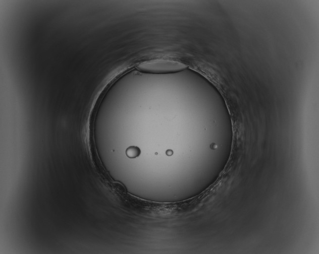 X0000100310148200806190949