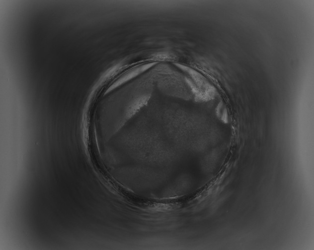 X0000100310149200806190949