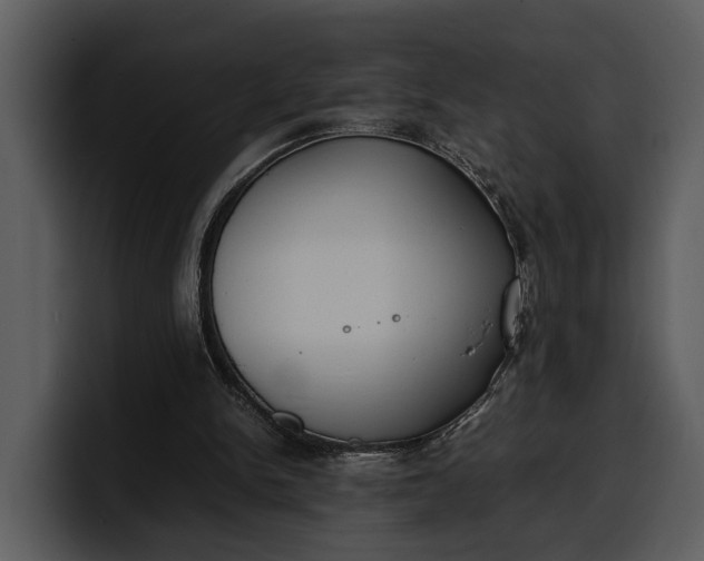 X0000100310150200806190949