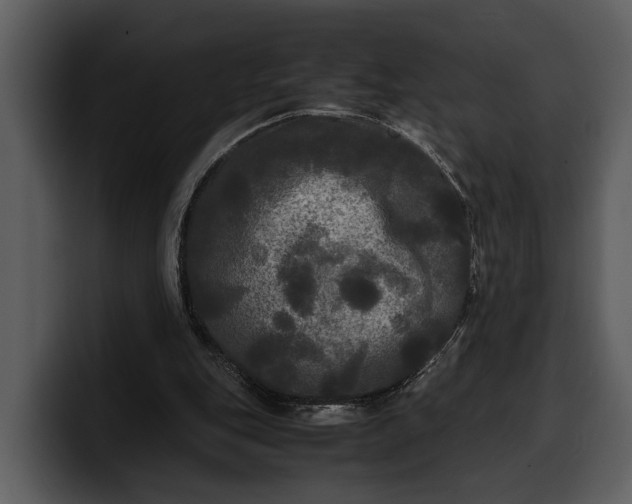 X0000100310151200806190949