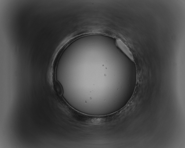 X0000100310152200806190949