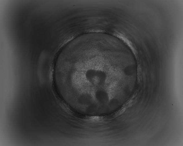 X0000100310153200806190949