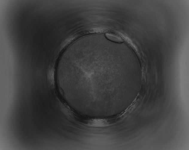 X0000100310154200806190949