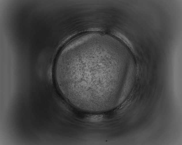 X0000100310155200806190949