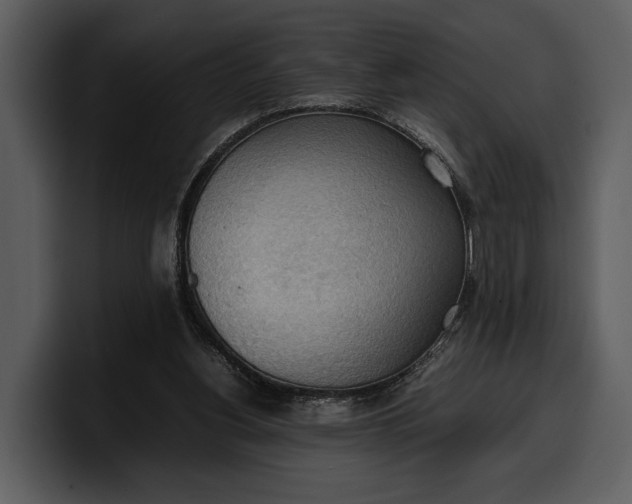 X0000100310156200806190949