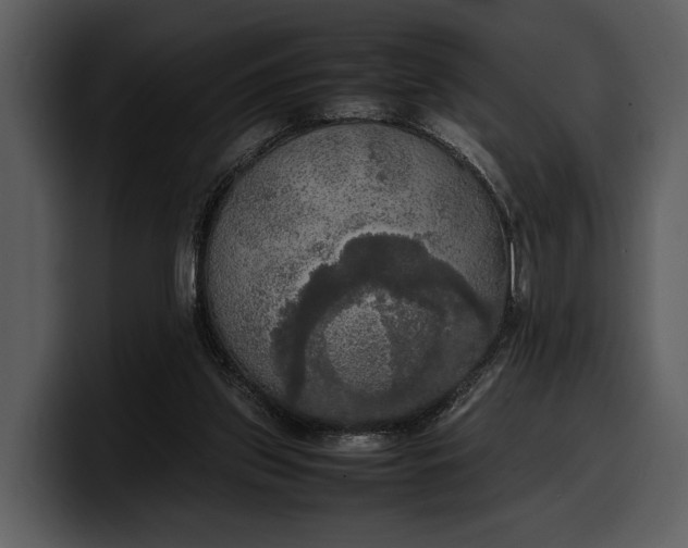 X0000100310157200806190949