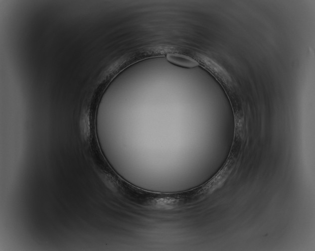 X0000100310158200806190949