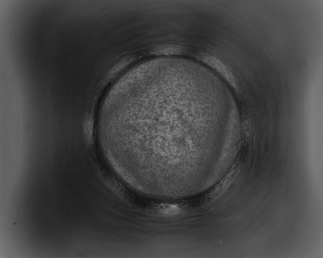 X0000100310159200806190949