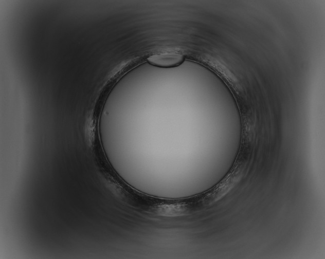 X0000100310160200806190949