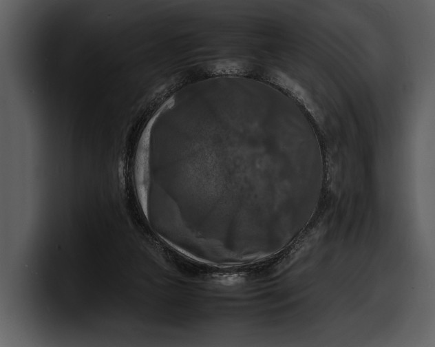 X0000100310161200806190949