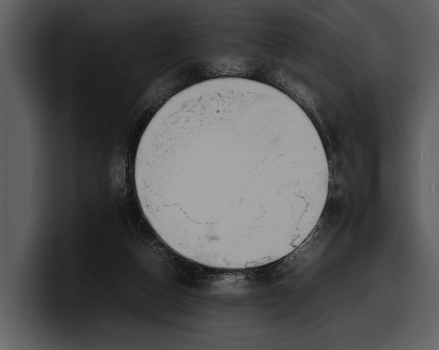 X0000100310162200806190949