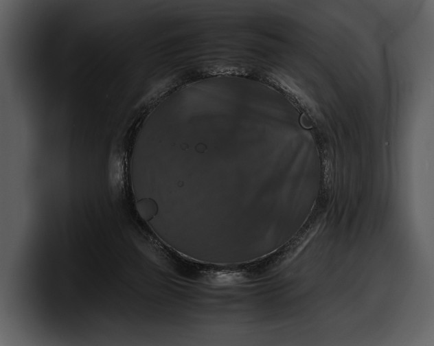 X0000100310165200806190949