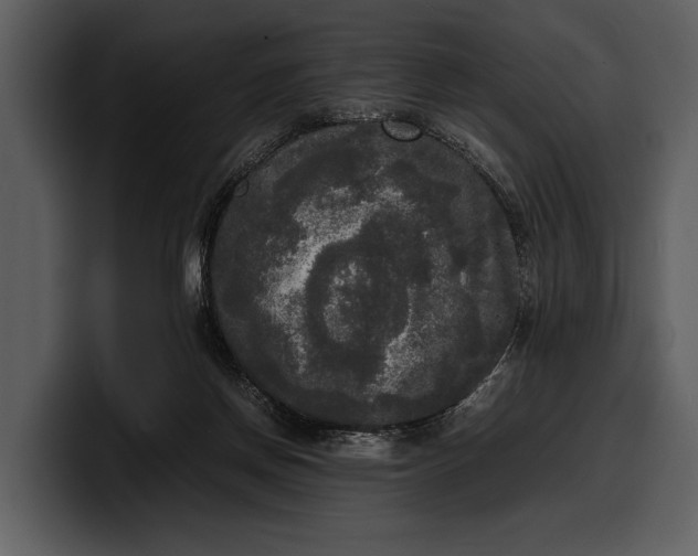 X0000100310166200806190950