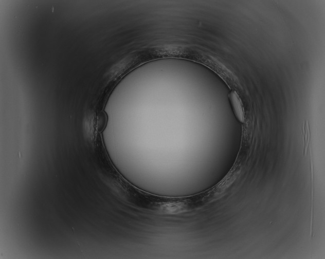 X0000100310168200806190950