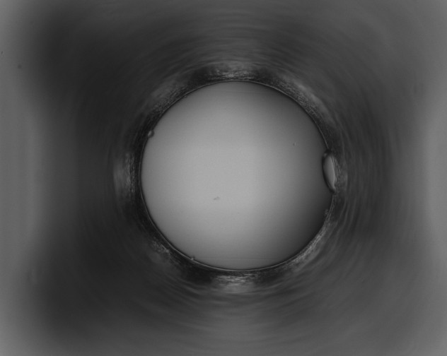 X0000100310170200806190950