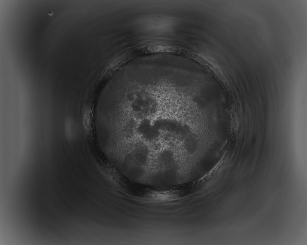 X0000100310171200806190950