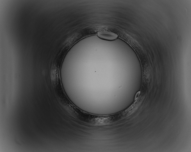 X0000100310172200806190950