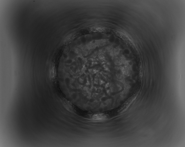 X0000100310173200806190950