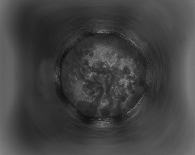 X0000100310175200806190950