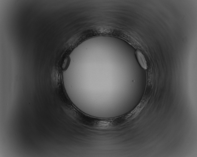 X0000100310176200806190950