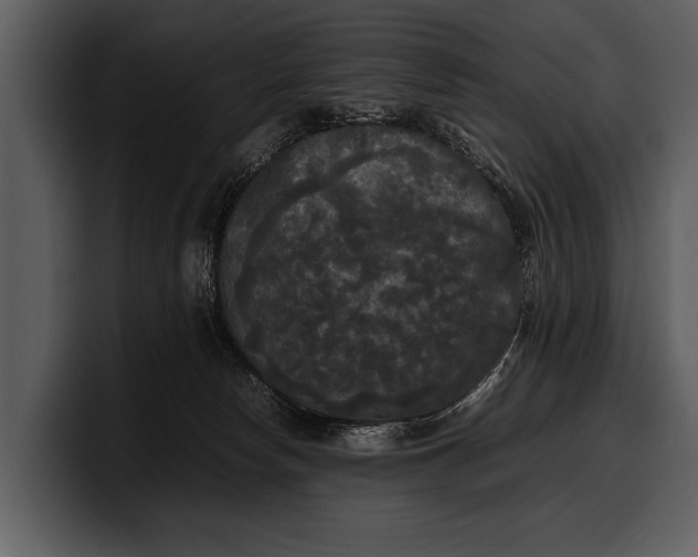 X0000100310178200806190950