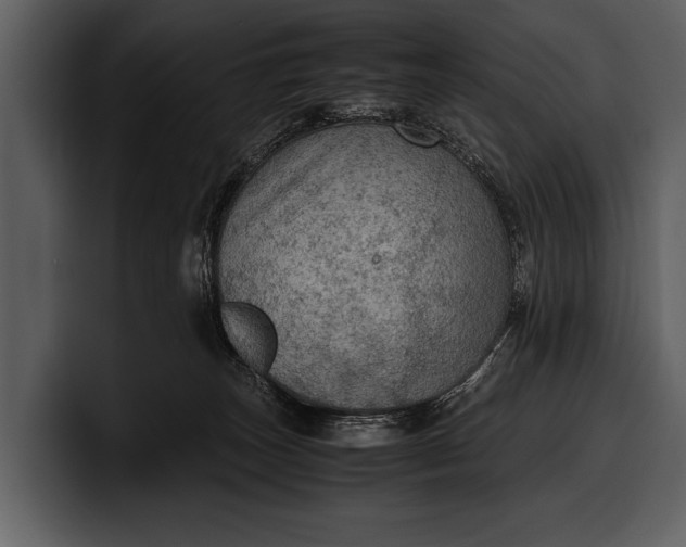 X0000100310179200806190950