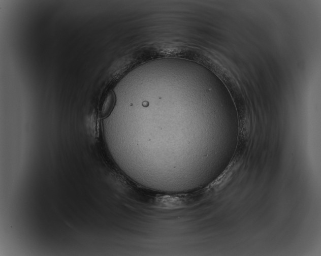 X0000100310180200806190950