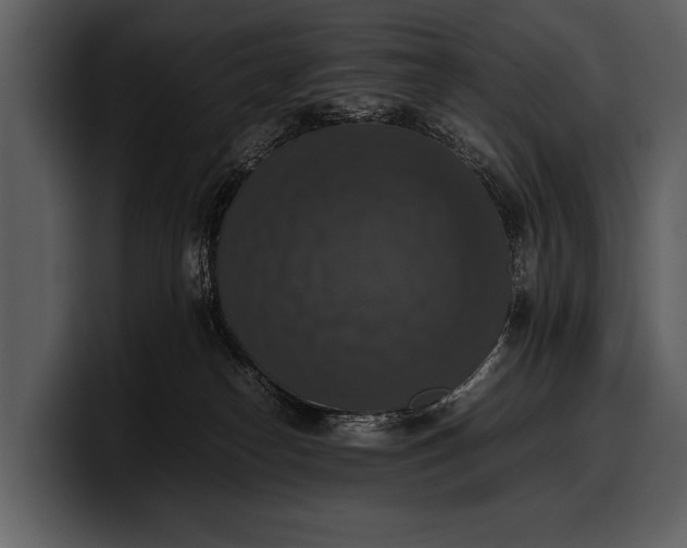 X0000100310182200806190950