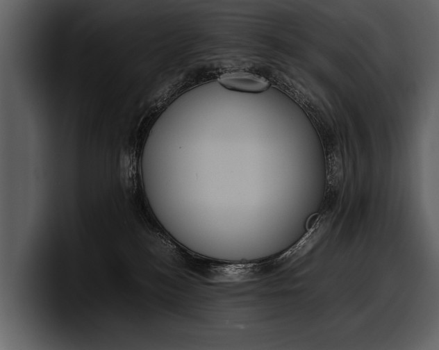 X0000100310184200806190950