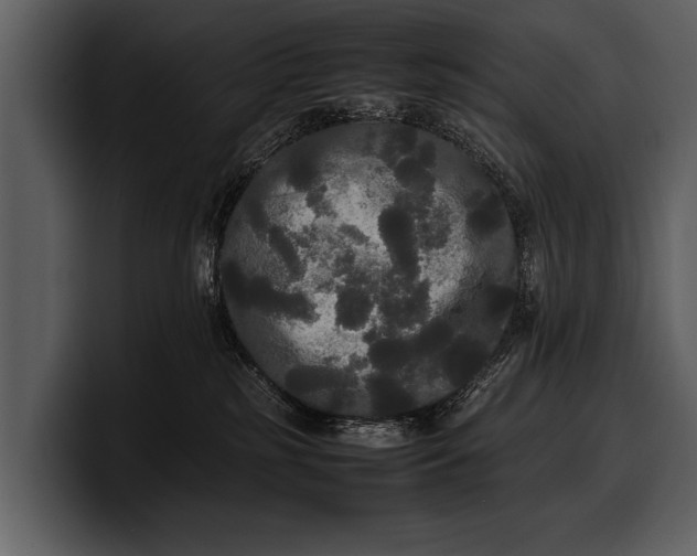 X0000100310185200806190950