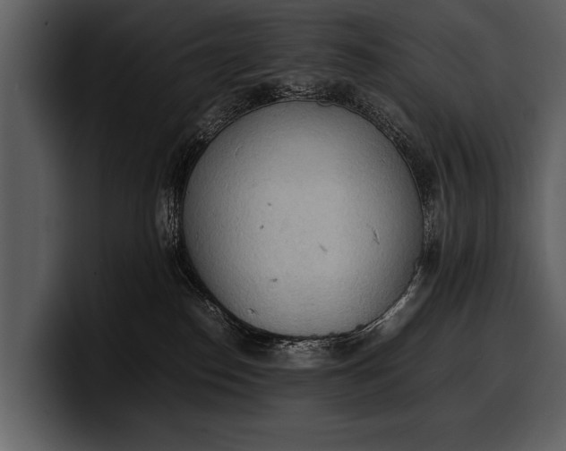 X0000100310186200806190950