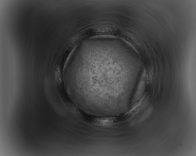 X0000100310187200806190950