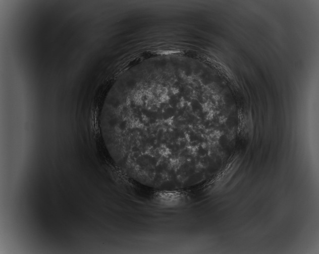 X0000100310189200806190950