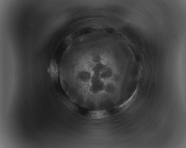 X0000100310191200806190950