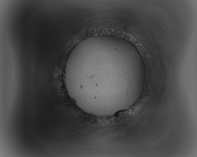 X0000100310192200806190950