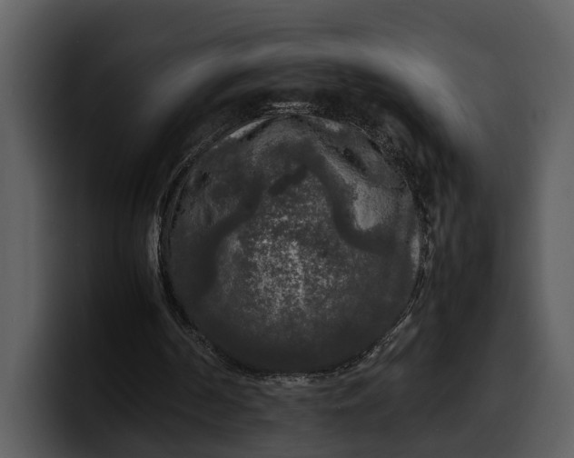 X0000100310194200806190949