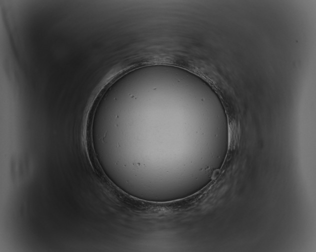 X0000100310195200806190949