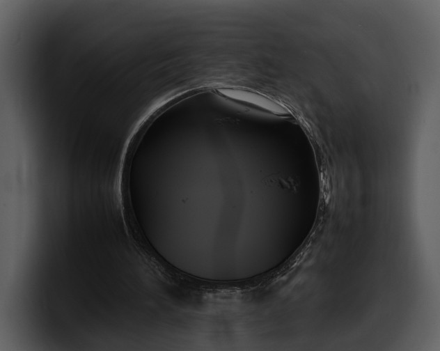 X0000100310196200806190949