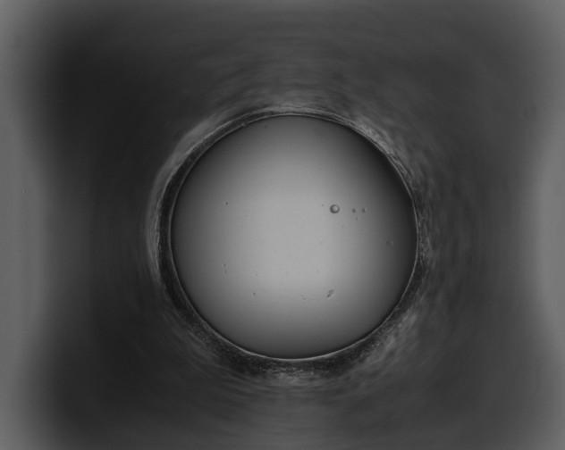 X0000100310199200806190949