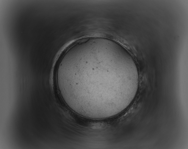 X0000100310200200806190949