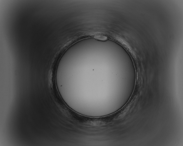 X0000100310201200806190949