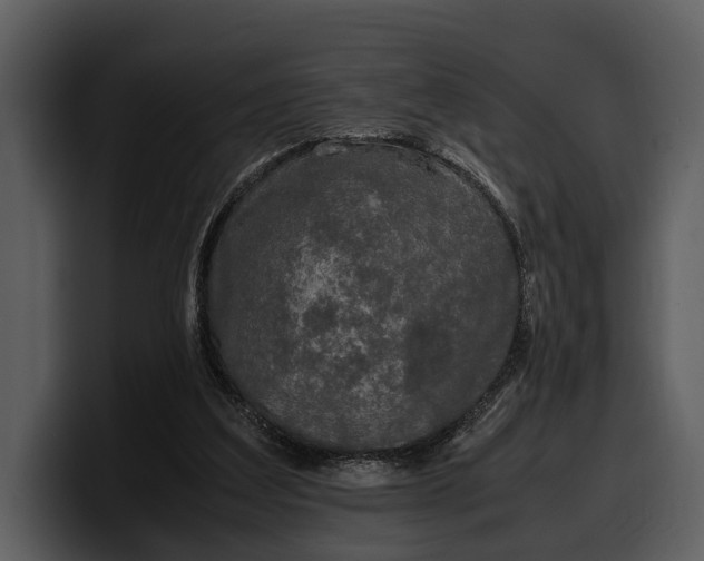 X0000100310203200806190949