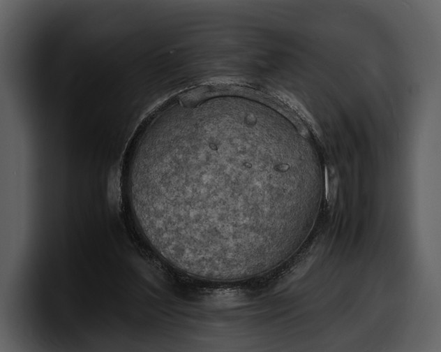 X0000100310204200806190949