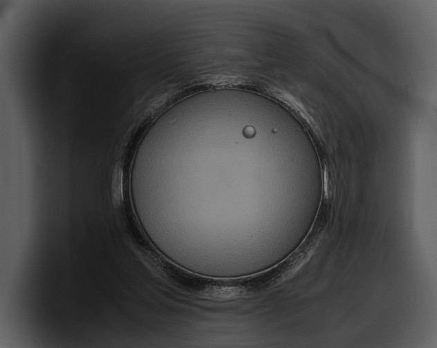 X0000100310205200806190949