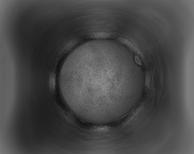 X0000100310206200806190949