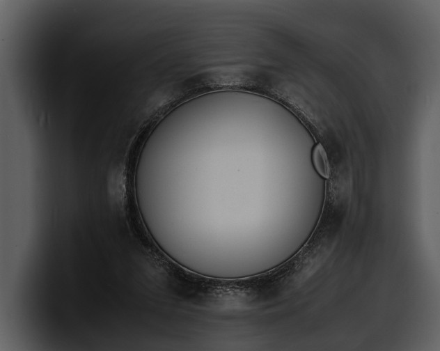 X0000100310207200806190949